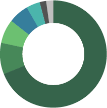 participation-by-race2x